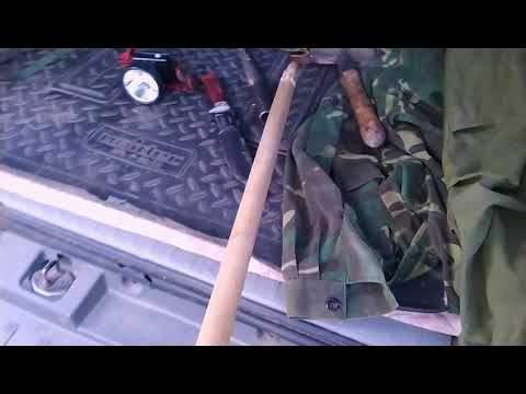 Видео: Удачная охота с лайками на барсука!