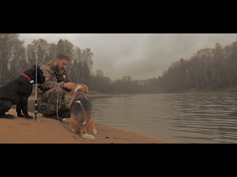 Видео: Рыбалка С Ночёвкой! Как Она Есть! Знатная Жарёха. Всё таки поймали! 4К