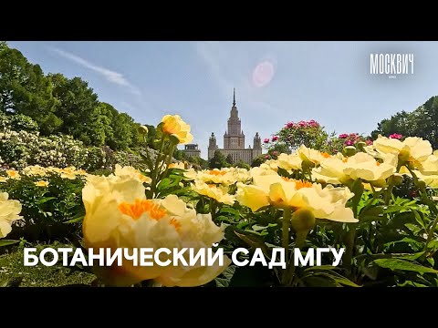 Видео: Прогулка по Ботаническому саду МГУ