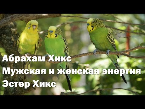 Видео: Абрахам Хикс – Мужская и женская энергия – Эстер Хикс
