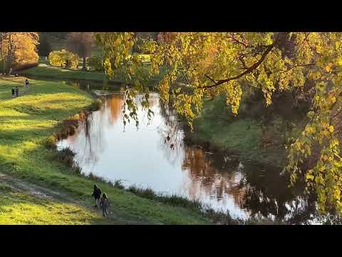 Видео: "Шмель", стихи И.Бунин, музыка С.Белоусов