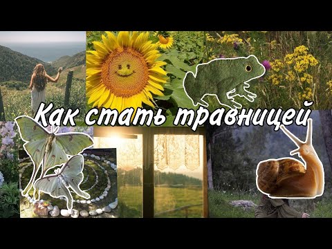 Видео: Что такое травничество/Как стать травницей.