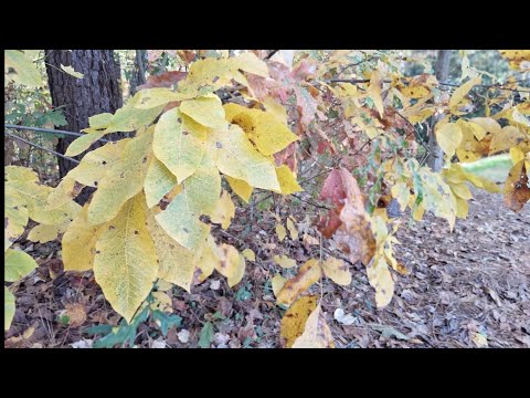 Видео: Уезжаю на Выходные в горы - Женский Ретрит называется " Who is she? " нас ждёт Интересная Программа!