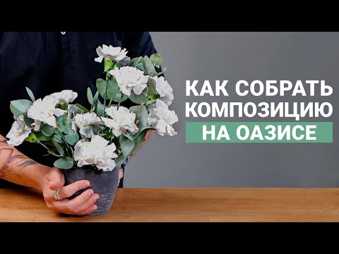 Видео: ОАЗИС: КАК СОБРАТЬ КОМПОЗИЦИЮ ИЗ ЖИВЫХ ЦВЕТОВ В КАШПО | ФЛОРИСТИКА ДЛЯ НАЧИНАЮЩИХ