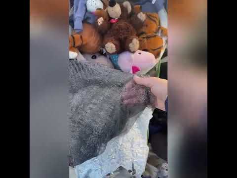 Видео: Платонова Ольга / Репортаж с барахолки 19 октября 2022 г.