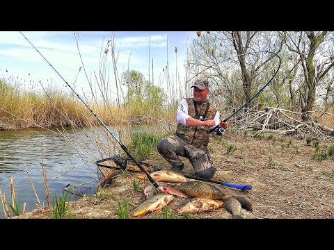 Видео: ПРУТ КАК ТОРПЕДЫ! НЕ ОЖИДАЛ ТАКОГО! Рыбалка в самых ДИКИХ МЕСТАХ. Xstream 420, Mikatsu MF40FES-T-EFI