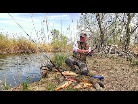 Видео: ПРУТ КАК ТОРПЕДЫ! НЕ ОЖИДАЛ ТАКОГО! Рыбалка в самых ДИКИХ МЕСТАХ. Xstream 420, Mikatsu MF40FES-T-EFI