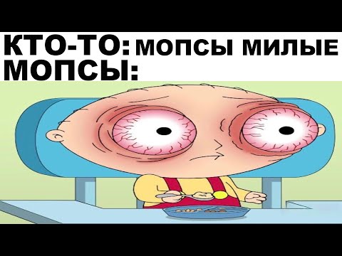 Видео: Мемы | Дневная подборка мемов 212