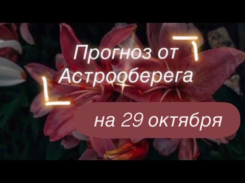 Видео: Лера  Астрооберег делает прогноз на 29 октября. Смотрите сейчас! Главные енергии дня!