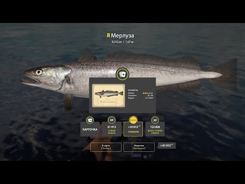 Видео: Норвежское море. Трофей мерлуза!!!