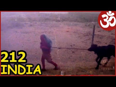 Видео: ВРИНДАВАН ИНДИЯ ШОПИНГ ТОВАРЫ И УРАГАН.  ПЫЛЬНАЯ БУРЯ