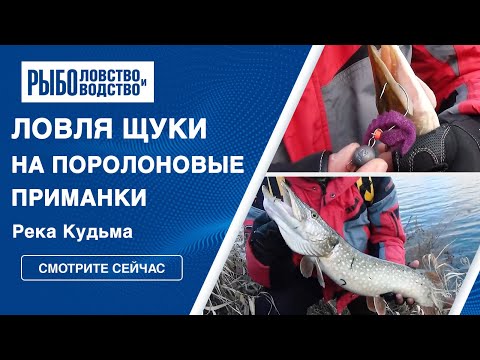Видео: Ловля щуки поздней осенью. Поролоновые приманки. Река Кудьма.