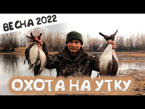 Видео: Охота на уток в Якутии - весна 2022