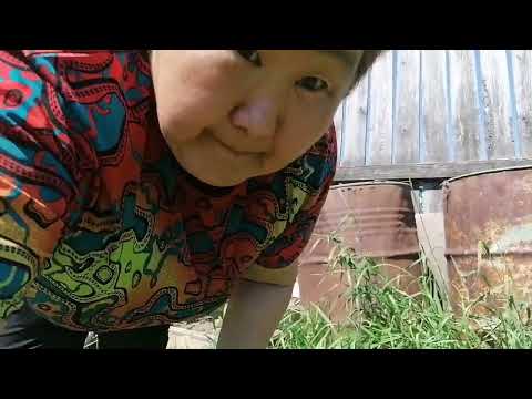 Видео: Влог: Поливаю сестре огород. Накормила собаку. Муж опять пакостит. Кто его просил!? Жизнь в деревне.