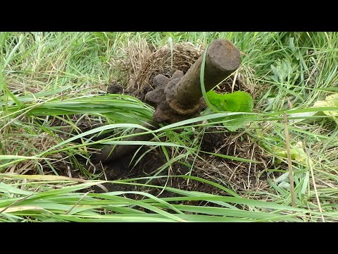 Видео: СУПЕРМЕТАЛОКОП!!! ПОСЛЕДНЮЮ НАХОДКУ ЕЛЕ ЗАГРУЗИЛ. День крупных железяк.