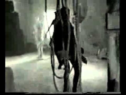 Видео: гр ПЛАНКА Ты просто танцуй