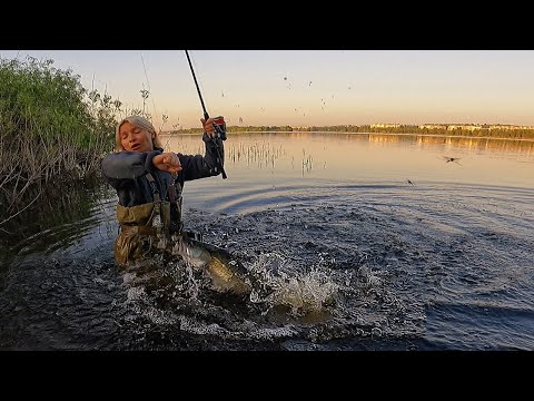 Видео: ЗДОРОВЕННИЙ СУДАК НАПАВ ЯК СКАЖЕНИЙ СОБАКА! Ловля судака на джиг на Дніпрі! Рибалка на спінінг 2023