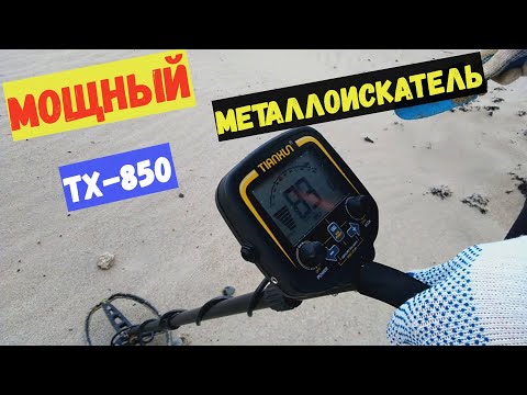 Видео: Металлоискатель TX 850 на пляже - Он видит всё - В декабре копать можно