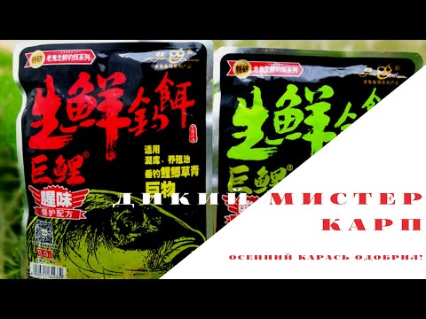 Видео: ДИКИЙ МИСТЕР КАРП. Новая серия. Новые тесты. Осень и карась!