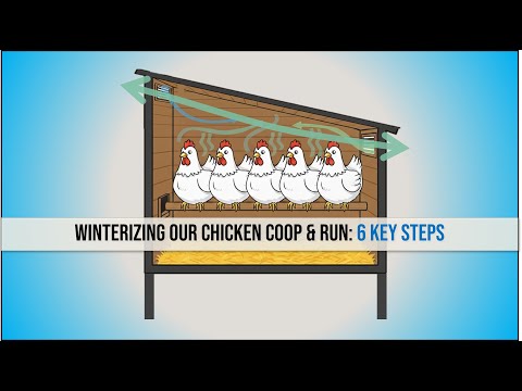 Видео: Подготовка курятника и загона к зиме: 6 ключевых шагов
