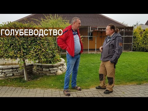 Видео: Первый голубедром в республике Беларусь . Спортивное голубеводство Владимира Комарова