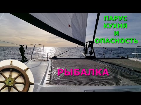 Видео: нападение КАСАТОК⛵️что делать⛵️ 3-я серия ⚓️Catana 50 OC⚓️плавучий ресторан  ⛵️рыбалка в океане