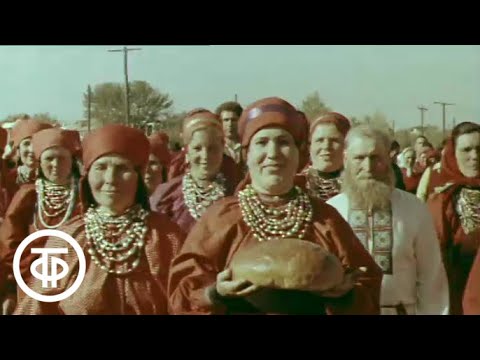 Видео: Звонкая сторона. Документальный фильм (1969)