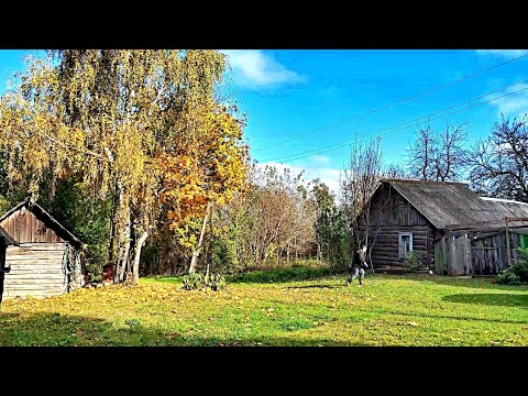 Видео: ЗОЛОТАЯ ОСЕНЬ В ДЕРЕВНЕ У БАБУШКИ