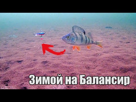 Видео: ОПУСТИЛ КАМЕРУ В ЛУНКУ а ТАМ.. Крупный Окунь рвёт балансир | Зимняя рыбалка |Подводная съёмка