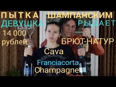 Видео: Дорогое шампанское брют натюр. Шампань. Кава. Франчакорта. Champagne Philipponnat. Franciacorta.Cava