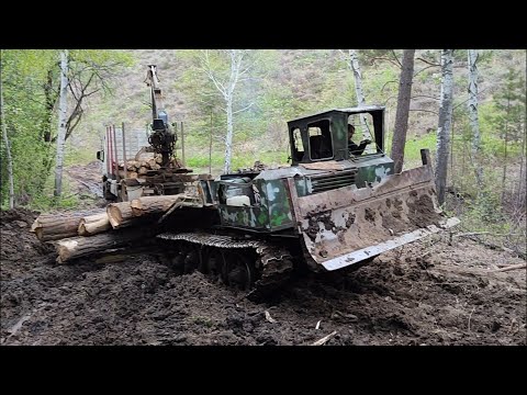 Видео: Вольво лесовоз. Дороги нет, катаем бревна.