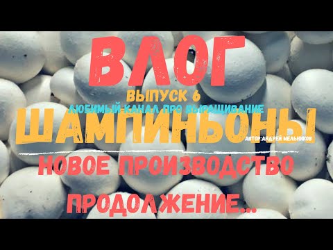 Видео: Влог выпуск 6. Выращивание шампиньонов.Новое производство. Продолжение