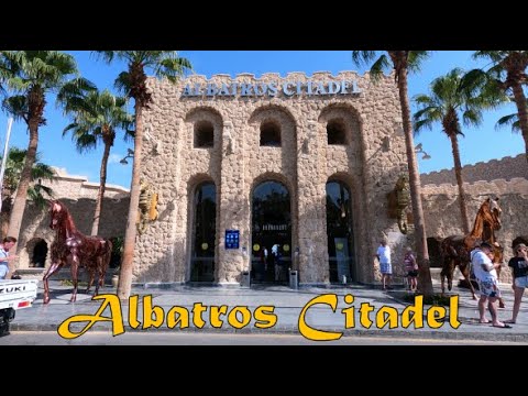 Видео: Обзор отеля Albatros Citadel , Хургада,  Египет