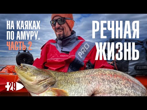 Видео: На каяках по Амуру. Часть 2. Испытание рекой.