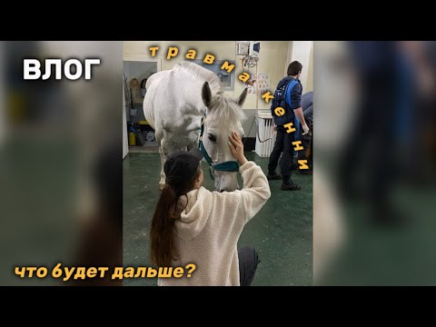Видео: ВЛОГ | ТРАВМА КЕННИ | ЧТО БУДЕТ ДАЛЬШЕ?