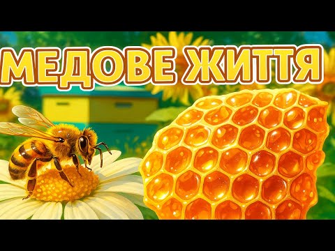 Видео: Відкрив вулик - і не очикував такого.Сільське життя 1 серія...