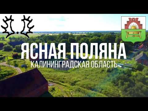 Видео: 4K. Ясная Поляна. Нестеровский район. Калининградская область