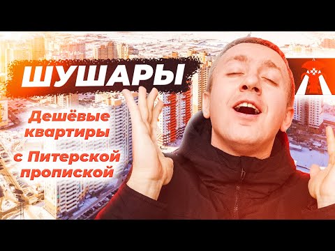 Видео: Дешевые квартиры в Санкт-Петербурге. Стоит ли покупать жилье в Шушарах?