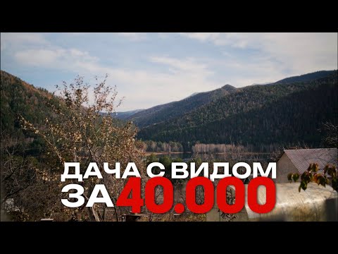 Видео: ТОРГИ ПО БОНКРОЬСТВУ. ВЫБИРАЕМ ДАЧУ.