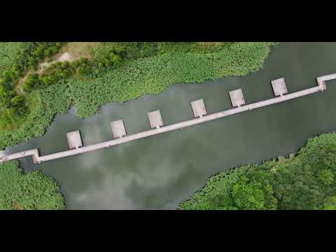 Видео: Янтарный