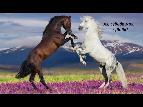 Видео: 💔💔💔Ах, судьба моя,  судьба!💔💔💔