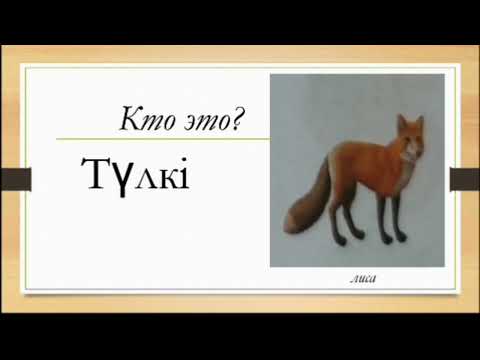 Видео: ТабиғатКазахский язык с нуля,  слова про природу, животных и погоду, а в конце вас ждут задания...🤗