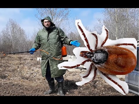Видео: Обработка участка от клещей и комаров