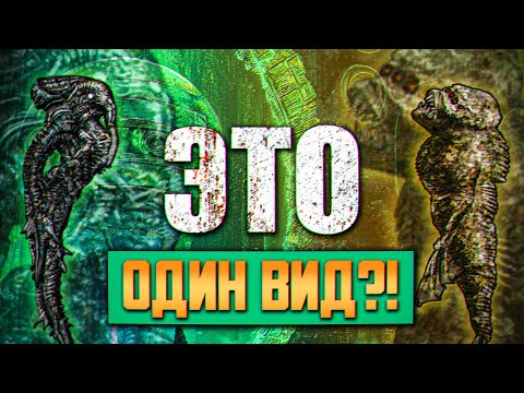 Видео: Что Jove сделал с Древними?! Как любопытство погубило гениальность // Barotrauma