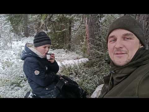 Видео: проверка капканов с Тимохой, вынесли пилу на ремонт