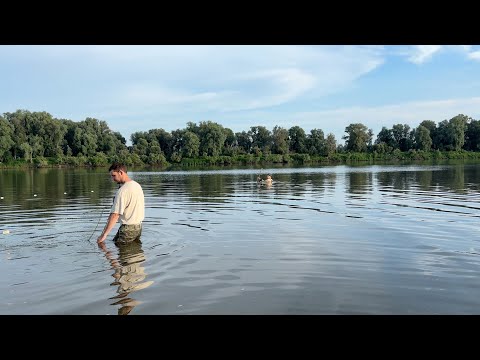 Видео: НЕВОДОМ НАЛОВИЛИ ЩУК. НАСТОЯЩАЯ РЫБАЛКА. Рыбалка из детства #рыбалка #невод