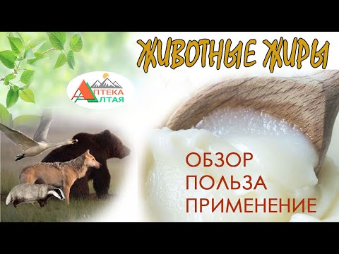 Видео: Животные жиры. Обзор, польза и применение.