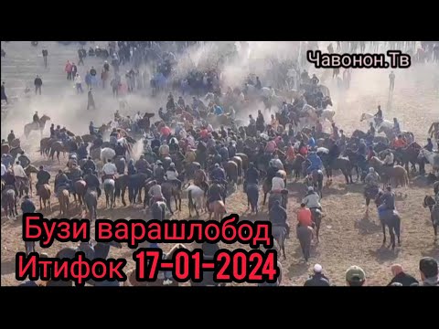 Видео: Бузи варашлобод итифок 17-01-2024