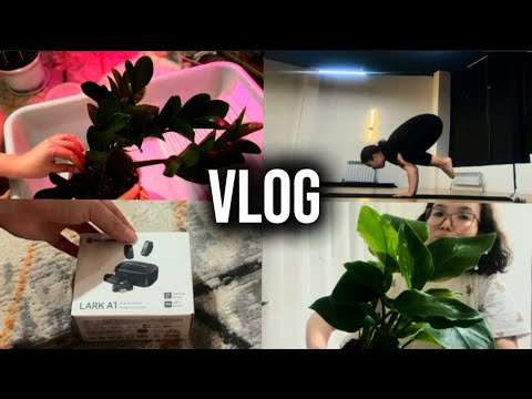 Видео: День со мной: 🧘‍♀️ йога, 🌱 пересадка растений и 💚 спасение Замика
