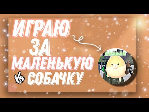 Видео: ММ2 В СКИНЕ МАЛЕНЬКОЙ СОБАЧКИ/ MM2 ROBLOX
